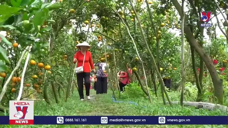 Bản tin thời sự 13h ngày 05/01/2025