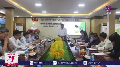 Bản tin thời sự 8h ngày 05/01/2025