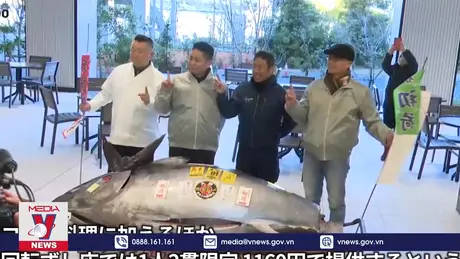 Đấu giá cá ngừ ở Nhật Bản