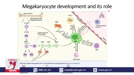 Giải mã khả năng tạo miễn dịch bền vững của một số vaccine
