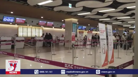 Jeju Air cắt giảm mạnh các chuyến bay quốc tế từ Busan