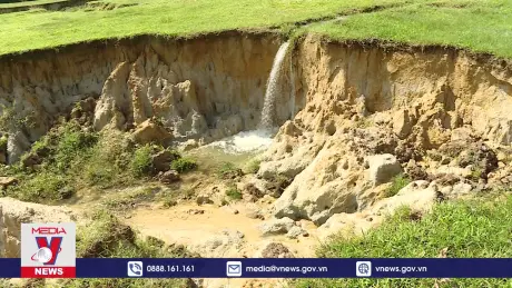 Xin phá sản khi bị yêu cầu hoàn thổ sau khai thác khoáng sản