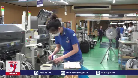 Những lao động Việt Nam có tay nghề cao tại Nhật Bản