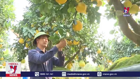 Bản tin thời sự 11h ngày 11/1/2025