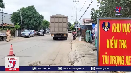 Bản tin thời sự 13h ngày 12/01/2025