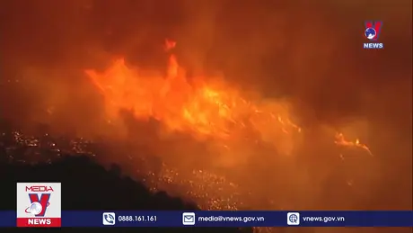 Bản tin thời sự 17h ngày 12/01/2025