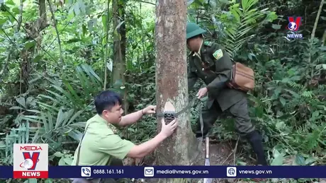 Bản tin thời sự 22h ngày 12/01/2025