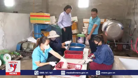 Các Hợp tác xã chế biến thủy hải sản Quảng Bình hối hả sản xuất hàng Tết
