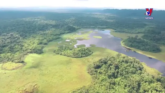 Thông điệp lịch sử: Bảo tồn kho tàng sinh học quý giá ở Vườn Quốc gia Cát Tiên