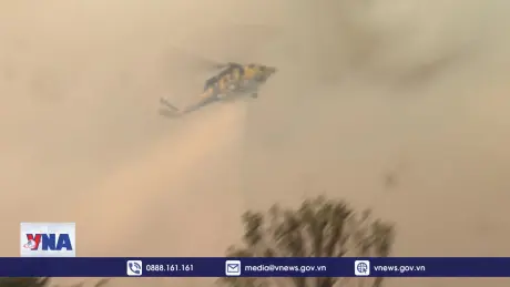 Các công ty quản lý tài sản gặp khó do cháy rừng ở Mỹ