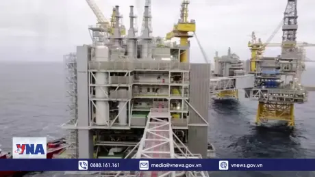 IEA hạ dự báo tăng trưởng nhu cầu dầu mỏ toàn cầu