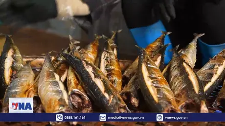 Làng biển “đỏ lửa” vụ cá nướng lớn nhất trong năm