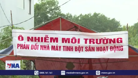 Ninh Bình tạm dừng nhà máy tinh bột sắn gây ô nhiễm