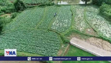 Những lưu ý mới từ thị trường xuất khẩu nông sản