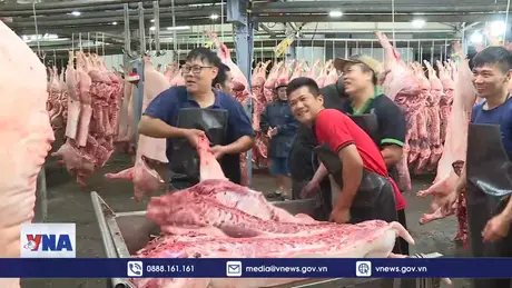 Thanh tra, kiểm tra đột xuất về thú y và an toàn thực phẩm dịp Tết