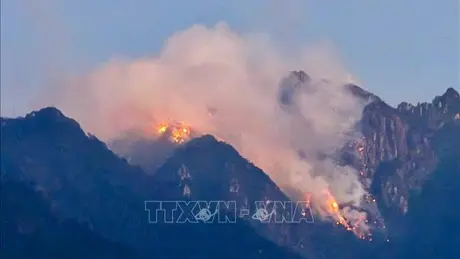 Cơ bản khống chế cháy rừng ở Sin Suối Hồ