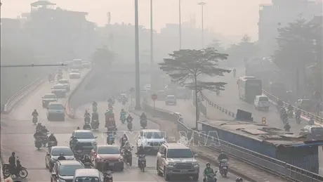 Thời tiết ngày 21/1: Bắc Bộ và Trung Bộ có sương  mù, trời rét