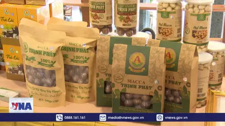 Gia Lai nỗ lực đưa nông sản lên sàn thương mại điện tử