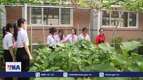 Trường học sinh thái ASEAN tại Côn Đảo 