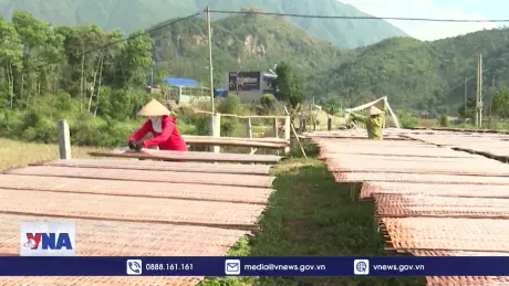 Miến dong Bình Lư nhộn nhịp vào Tết