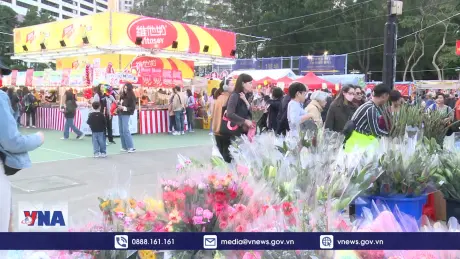 Không khí sôi động tại chợ hoa Xuân Hong Kong