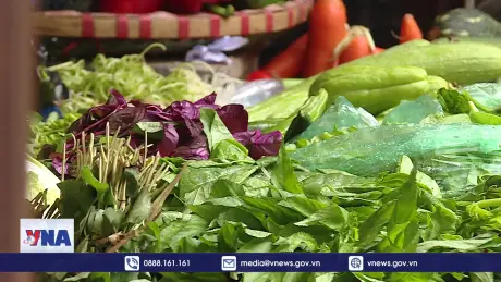 Nguồn cung dồi dào, giá cả hàng dịp Tết chỉ tăng nhẹ