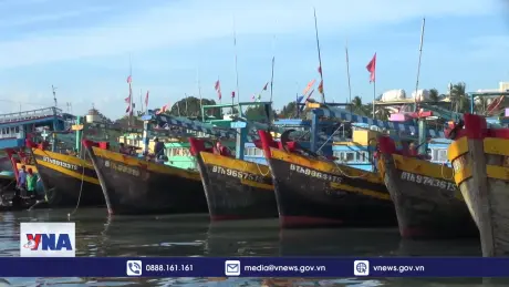 T﻿hực hiện nghiêm túc các quy định chống khai thác IUU