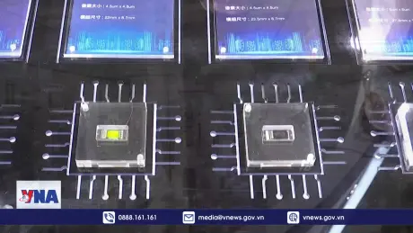 Nhu cầu chip toàn cầu cao kỷ lục trong năm 2025