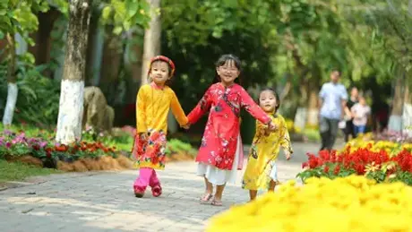 Thời tiết ngày 29/1 (mùng 1 Tết): Thuận lợi để du Xuân, chúc Tết