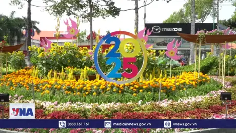 Khách du xuân đường hoa Xuân ở Đồng Tháp