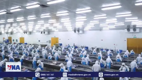Kim ngạch thương mại hai chiều Việt Nam - CPTPP ước đạt 102,1 tỷ USD