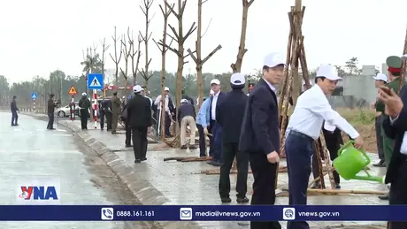 Quảng Bình phát động “Tết trồng cây đời đời nhớ ơn Bác Hồ”