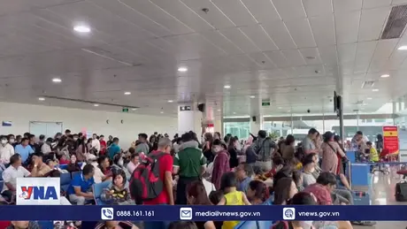 Gần 3,6 triệu hành khách qua các sân bay Việt Nam dịp Tết