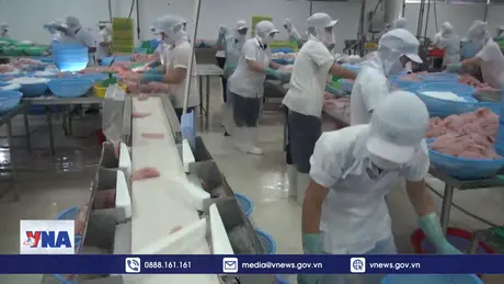 Xuất khẩu cá tra thuận lợi ngay từ đầu năm mới