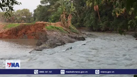 Thanh Hóa xác định nguyên nhân gây sạt lở nghiêm trọng tại bờ sông nhà Lê