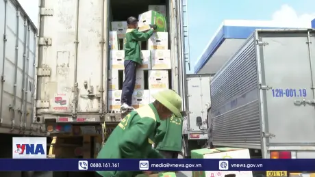 Gần 1.000 tấn sầu riêng xuất qua 2 cửa khẩu tại Lạng Sơn