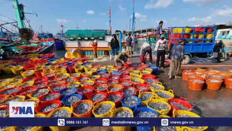 Ngư dân Ninh Thuận đón lộc biển đầu năm