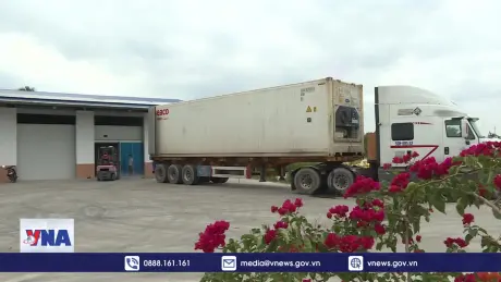 Tháng 1 xuất siêu hơn 3 tỷ USD