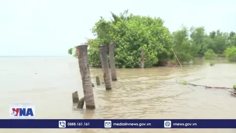 Các dự án nông nghiệp có thể gặp khó khăn do USAID đóng cửa