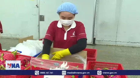 Xuất khẩu nông lâm thủy sản suy giảm