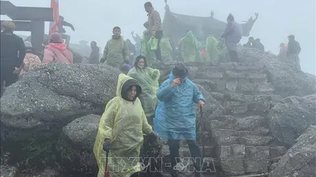 Thời tiết ngày 8/2: Bắc Bộ có mưa nhỏ vài nơi, Trung Bộ chuyển rét đậm