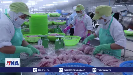 Tiền Giang đạt kim ngạch xuất khẩu 500 triệu USD trong tháng đầu năm