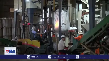 Cà phê xuất khẩu đạt mức kỷ lục