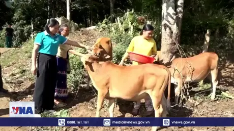 Mường Lát chính thức 