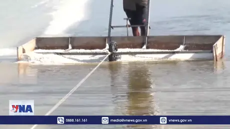 Festival nghề Muối Việt Nam - Bạc Liêu năm 2025