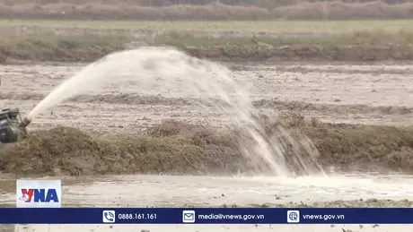 Hơn 90% diện tích vụ Đông Xuân có nước sản xuất