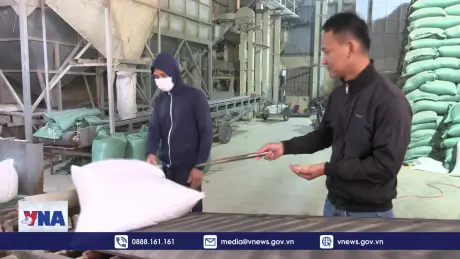 Thanh niên làm giàu từ nông nghiệp