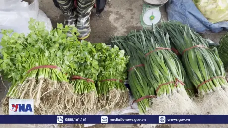 Giá rau củ quả ở chợ đầu mối nông sản Sông Hồng có rẻ nhất nước?