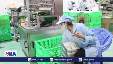 Tiềm năng vươn xa của đặc sản OCOP Tây Ninh