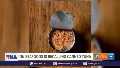 Mỹ thu hồi nhiều sản phẩm cá ngừ đóng hộp